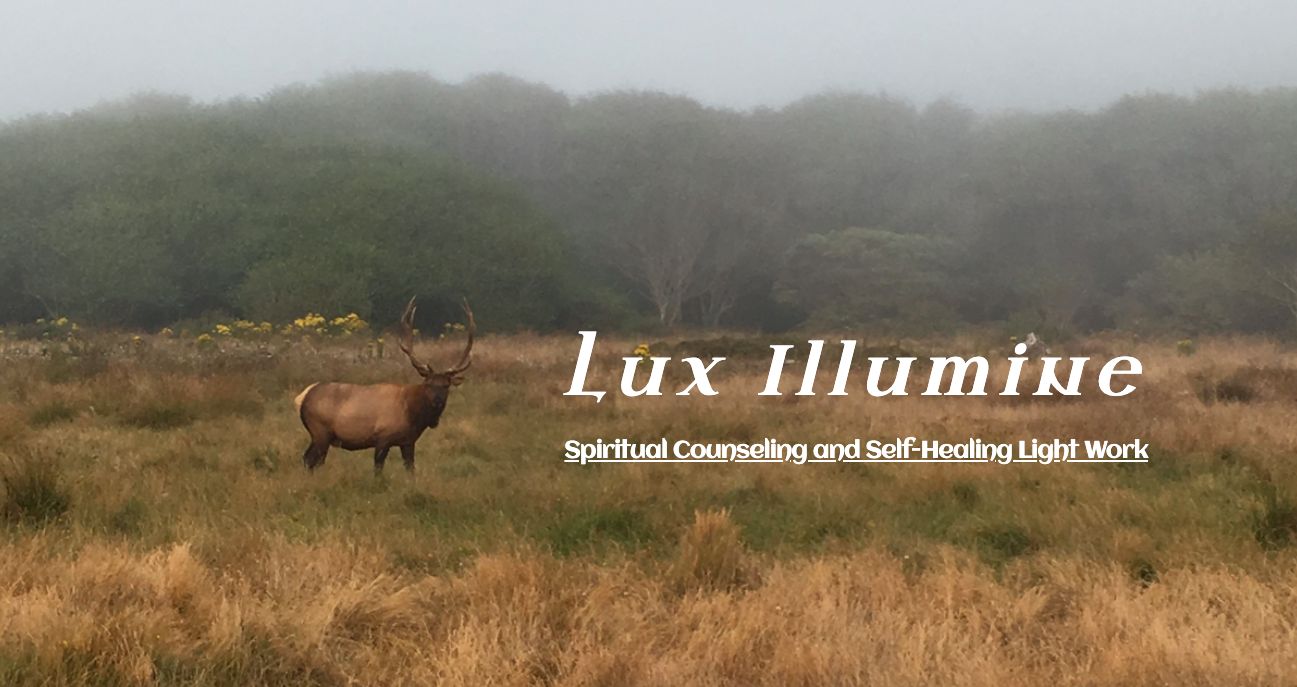 Lux Illumine Spiritual Counseling